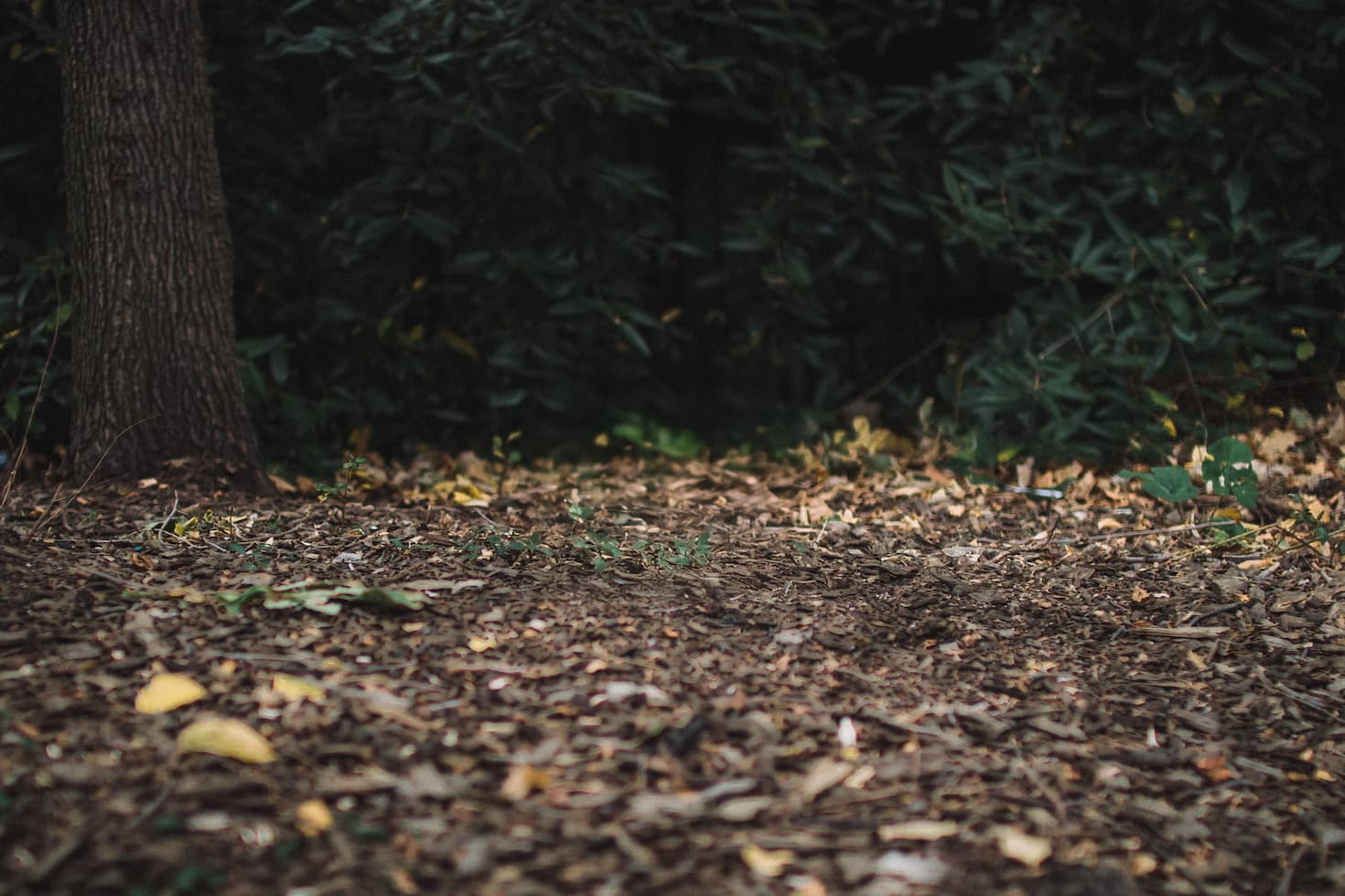 Footer background
